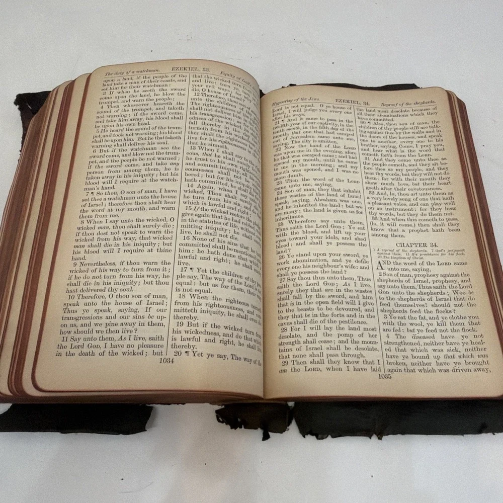 1905 The Methodist Hymnal & Daily Food & Oxford University Press Holy Bible